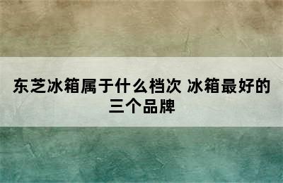 东芝冰箱属于什么档次 冰箱最好的三个品牌